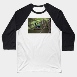 Superb Fairy Wren Baseball T-Shirt